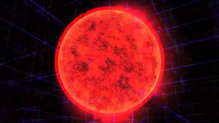 Casino Versus Japan -  Trad Velecido