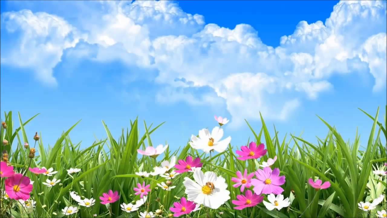 Watch MAÑANITAS PARA LUPITA Now MAÑANITAS PARA LUPITA