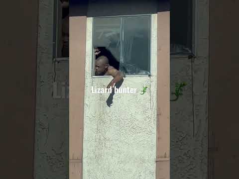 27 avenue Phoenix, Arizona