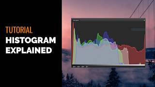 Understanding the Histogram: What It Means & How to Read It