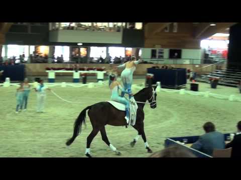 Junior Worlds Ermelo 2015 - Junior Team CZE