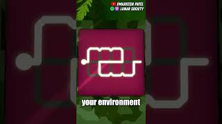 The Genius of The Witness Video Game - Andy Matuschak