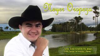 Video Está Tronando Pa Abajo (Audio) de Neyer Oropeza