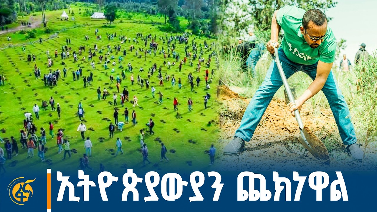 ከማለዳ እስከ ምሽት