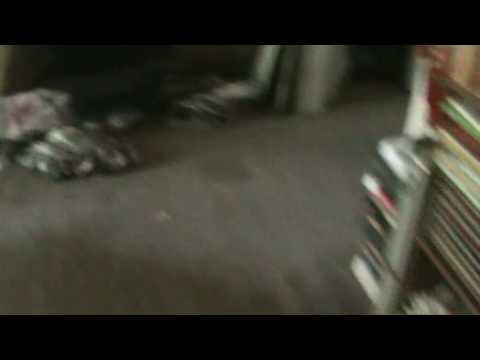 Bug Bomb! the aftermath