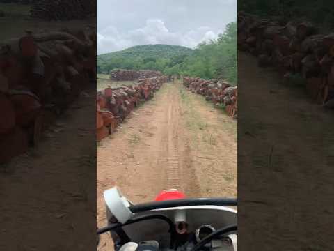 Trilha de moto na serra do Félix em beberibe Ceará #trilha #motocross #motovlog #hardenduro#crf