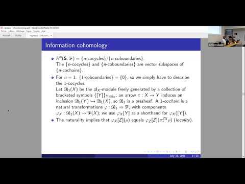 Information cohomology of classical vector-valued observables