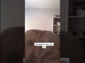 Show Your Pussy TIKTOK COMPILATION