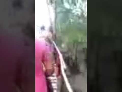cenas raras da comunidade de prainha em Magalhães barata (in memória)