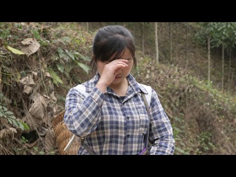 Single Mother Sung Luyen's heart was broken when she discovered the truth about CEO James