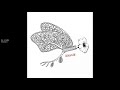 Malajube - Le crabe [Version officielle]