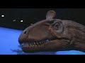 Cryolophosaurus The Largest Antarctic Predator With Dr Nate Smith And Roy Conli 4 Of 5