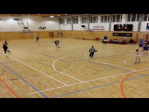 CEYBL, The Final tournament - Science City Jena - Vienna D. C. Timberwolves