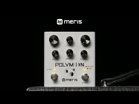 Meris Polymoon Delay Pedal | Gear4music demo