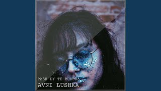 Avni Lushka - Mix Këngësh Nga Jugu