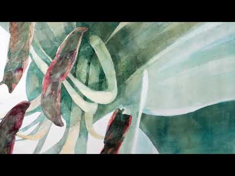 @ionbogdanstefanescu  Antonio Vivaldi - Il Cardellino