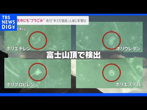 マイクロプラスチックは食用魚にも含まれるようになった