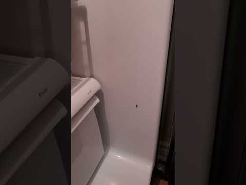 Mid America Apartment Communities - ROACHES