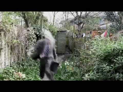 ADHDTV - business man