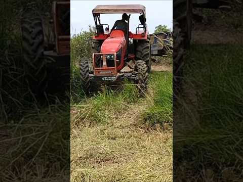Kubota Mu 5501 4WD Sloping Down To Muddy Field #shorts