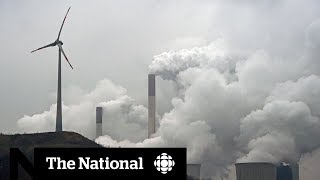 The National for Monday November 13, 2017 - Kidnapping scam, misconduct, pollution