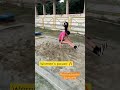 Women’s athletes long jump/technique power #shorts #trending #viral #ytshorts
