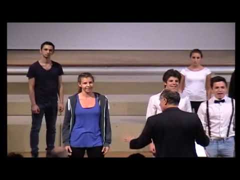 Light  - Next to Normal - Licht Cover from Musical Fever BX