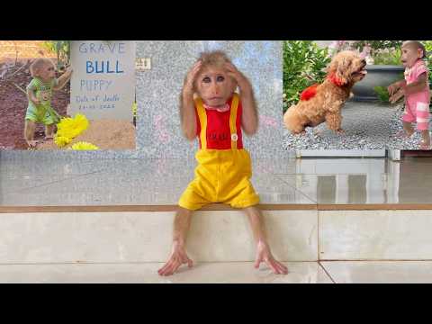 After meeting the puppy, Lulu became sad again because she missed Bull