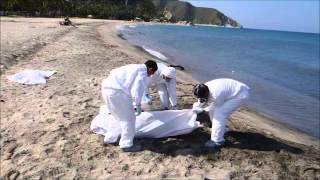 Booktráiler de &quot;La luna.com&quot; de Care Santos