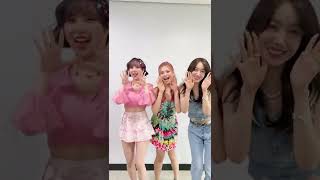 이민혁 (HUTA) #BOOM_Challenge #비비지 #은하 #신비 #엄지