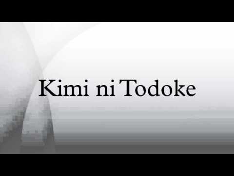Kimi ni Todoke : Tsutaeru Kimochi Nintendo DS