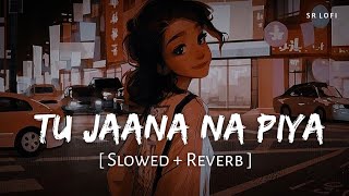 Tu Jaana Na Piya (Slowed + Reverb) | King | New Life | SR Lofi