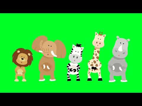 Animals dance!