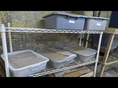 205-day old worm bin depopulated.. is now in "finishing mode" - vermicomposting