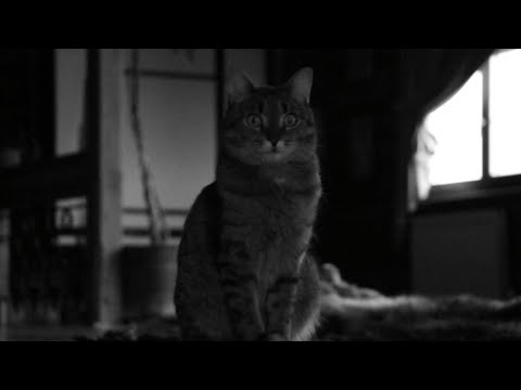 @polnalyubvi_official, @threedaysrain – температура