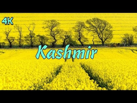 Valley of flower|kashmir|Heaven on earth|Flowers|#al kawthar records