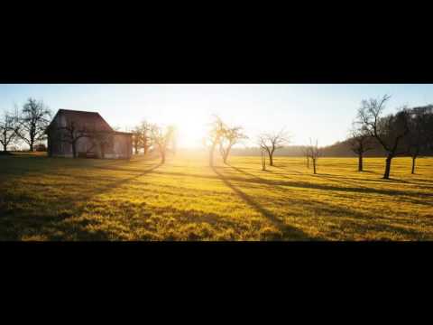 Zeļļi - Rīts Bez Vēja