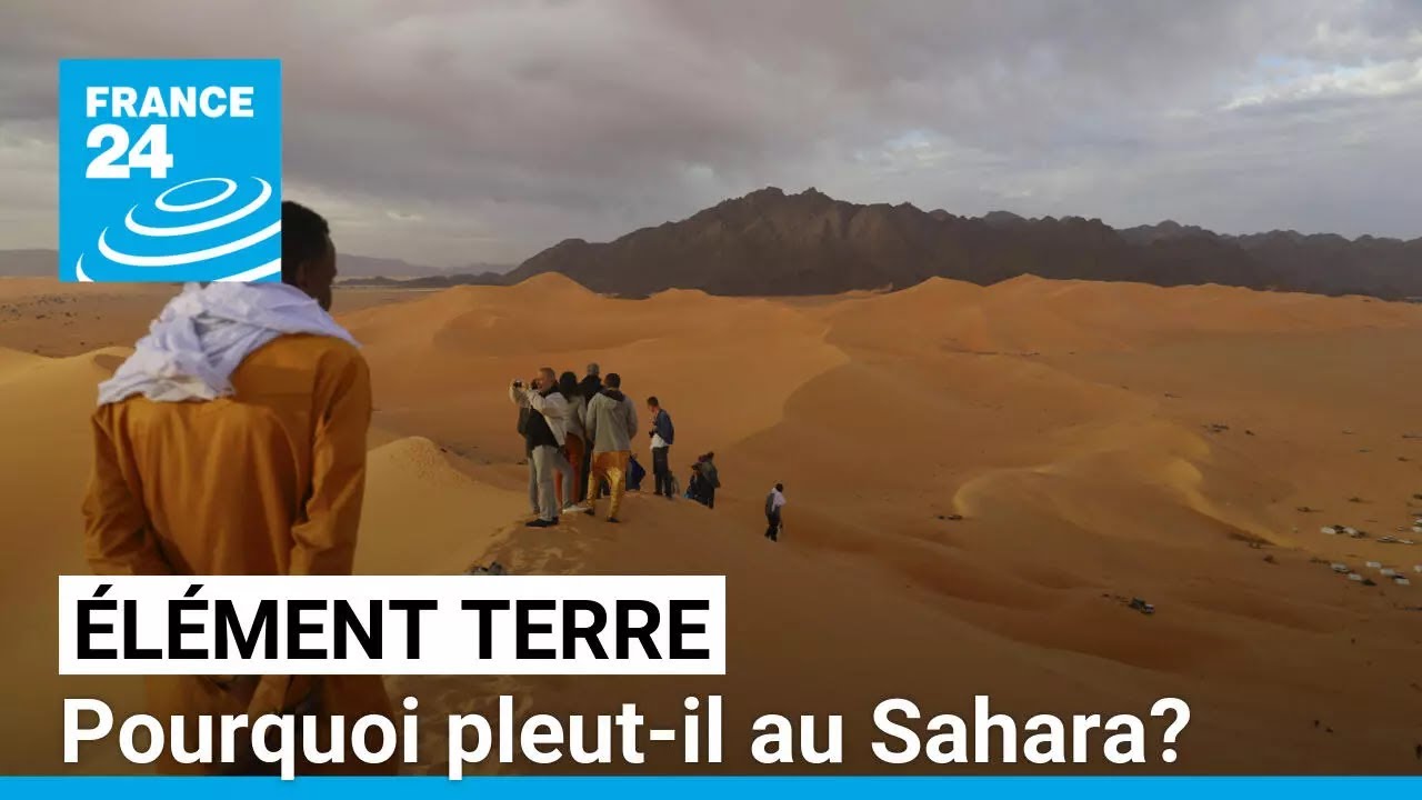 Il pleut au Sahara !... Une conséquence du réchauffement climatique • FRANCE 24