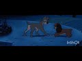 Bella Notte La Dama Y El Vagubundo Español Latino