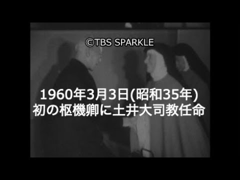 IUCN分類における絶滅の危険性を示す図。