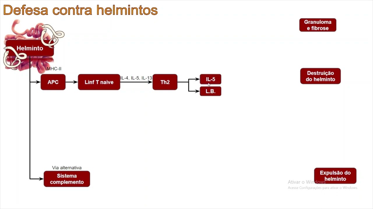 Resposta imune contra helmintos