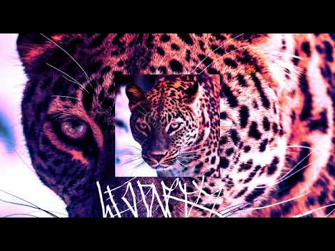 Sidoka "e se um leopardo rimasse?" ft.zemaru