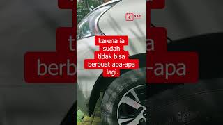 Download lagu Azab harta warisan #azab #hartawarisan #warisan mp3