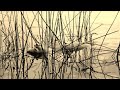 Cehache Respira - Aire (Prod. John'O Perdono)