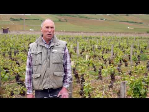 download lagu mp3 mp4 Michel Gros, download lagu Michel Gros gratis, unduh video klip Michel Gros