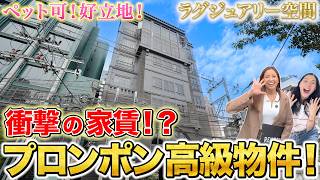 プロンポンの高級・築浅物件！ゴージャスなお部屋とファシリティで人気のサービスアパート！ペット可のこだわりが光る好物件！【(The) Alberti｜タイ・バンコク不動産🇹🇭】