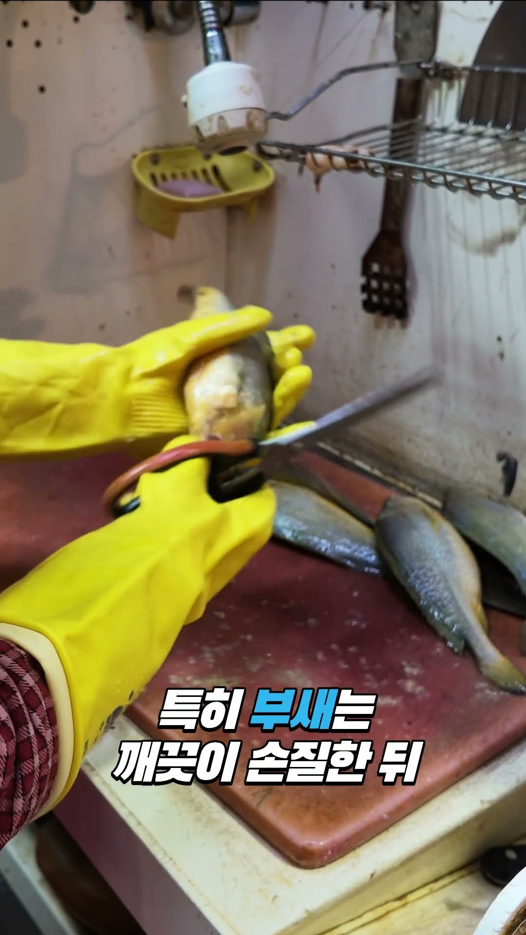 “아가미·내장 손질부터 소금 절임까지, 부새 제대로 만드는 곳” #연안수산 #수산물 #생선가게 #부새 #도미 #민어 #서대 #병어 #가자미 #젓갈 #새우젓 #생선손질 #전국택배