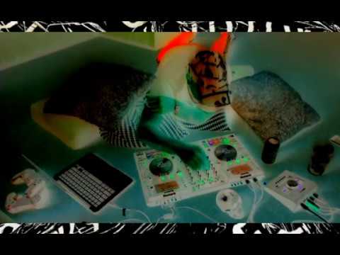 HWLS Live Lockdown. V01.