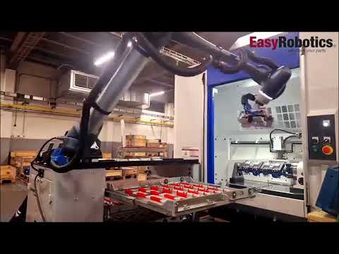 FANUC ROBOTICS CRX-10iA COBOTS | Hillary Machinery Texas & Oklahoma (3)