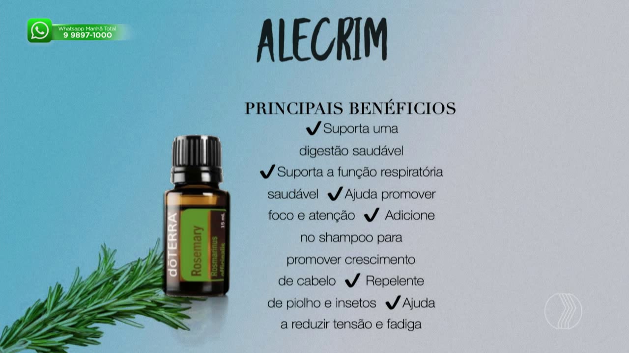 Óleos essenciais que ajudam da tristeza ao estresse - MANHÃTOTAL